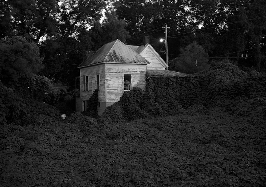 Kudzu, Athens, Georgia, 1995